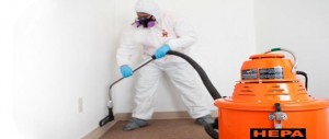 Mold Removal Tech